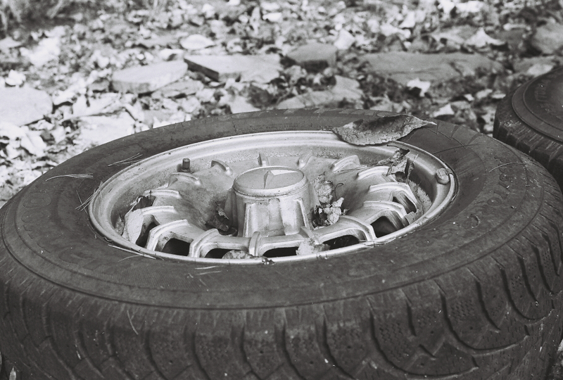Illustration for article titled Whole Bunch of Film Developed